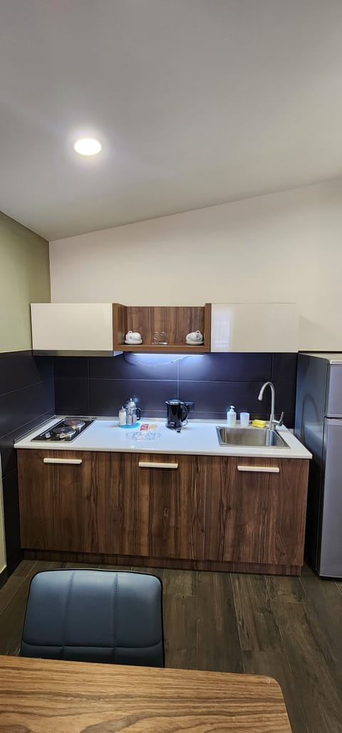 Deluxe Apartment | Private kitchen | Full-size fridge, microwave, oven, stovetop