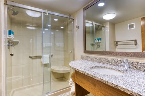 Deluxe Room, 1 King Bed, Accessible, Refrigerator & Microwave (Roll-in Shower) | Bathroom | Combined shower/tub, free toiletries, hair dryer, towels