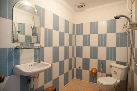 Deluxe Double Room | Bathroom | Shower, towels, soap, shampoo