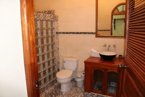 Double Room | Bathroom | Shower, hair dryer, towels