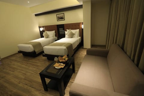 Deluxe Double Room | Living room | Flat-screen TV