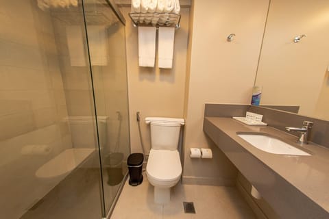 Triple Room | Bathroom | Shower, hair dryer, towels, soap