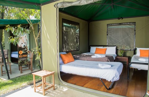 Roar and Snore Tent | Free WiFi, bed sheets