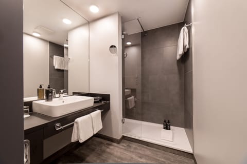 Suite | Bathroom | Shower, free toiletries, hair dryer, towels