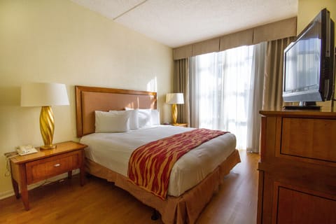 Standard Room, 1 King Bed, Non Smoking | In-room safe, blackout drapes, free WiFi, bed sheets