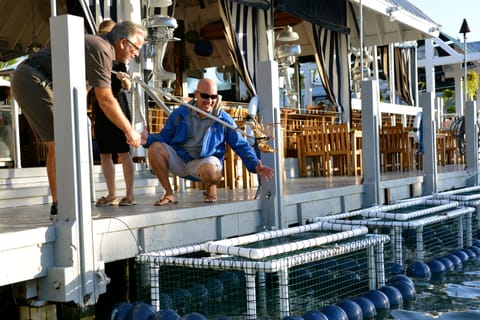 Breakfast, lunch, dinner served; seafood, pool views