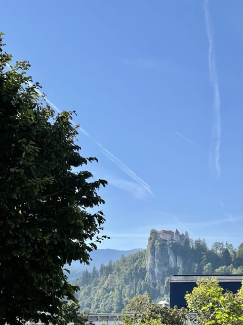 Superior Studio (Apartma z 2 spalnicama, teraso pogled) | Minibar, in-room safe, blackout drapes, soundproofing