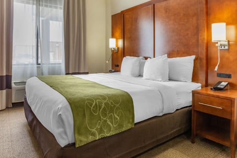 Suite, 1 King Bed, Non Smoking | Premium bedding, down comforters, desk, blackout drapes