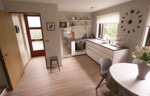 Apartment, 1 Bedroom | Private kitchen | Fridge, microwave, oven, stovetop