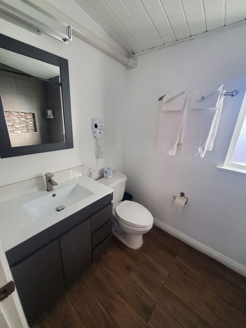 Deluxe Suite, Private Bathroom (2 Queen Studio) | Bathroom | Shower, free toiletries, hair dryer, towels