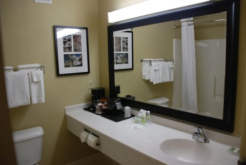 Room, 2 Queen Beds, Accessible, Non Smoking (Rollin Shower) | Bathroom | Free toiletries, hair dryer, towels, soap