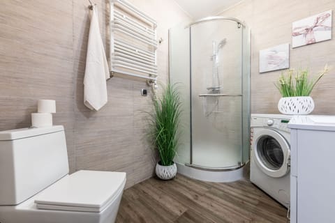 Apartment | Bathroom shower