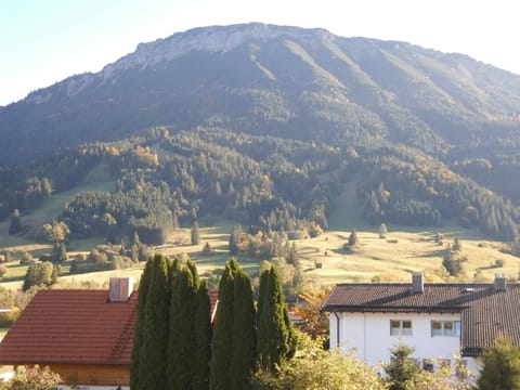 City view from property