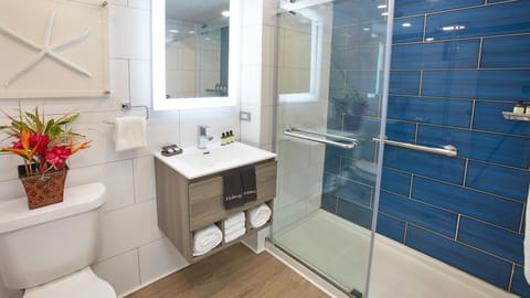 Beachfront Double | Bathroom | Shower, free toiletries, hair dryer, towels