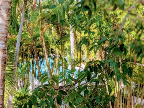 View of the pool from the upstairs porch.