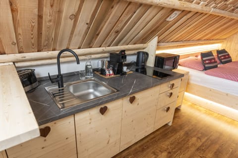 Chalet Studio GOVIC with Mountain - River view and Fireplace | Private kitchen | Fridge, microwave, oven, dishwasher