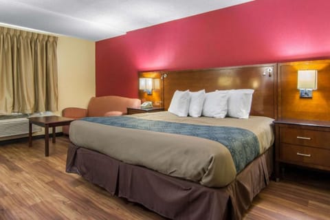 Executive Room, 1 King Bed, Non Smoking | Premium bedding, down comforters, desk, blackout drapes