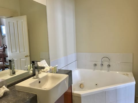 Spa Suite | Bathroom | Free toiletries, towels, soap, shampoo