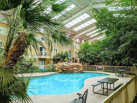 Indoor pool, sun loungers