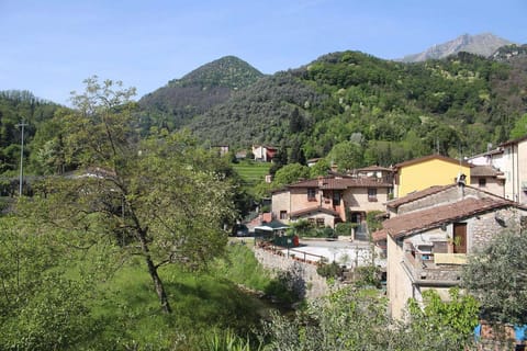 View from Holiday Home [summer]