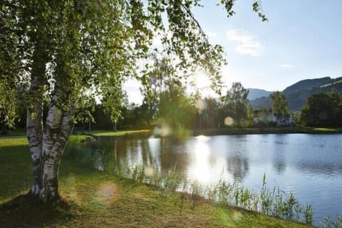 Region [summer] (&gt;5 km)