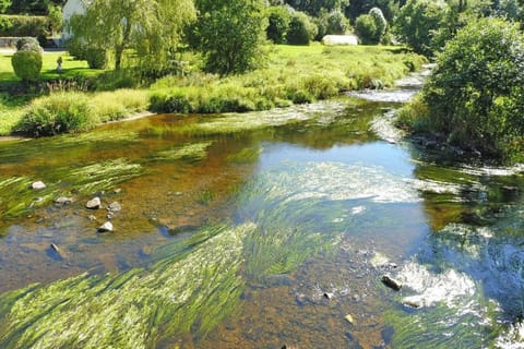 Immediate Surroundings [summer] (&lt;1 km)