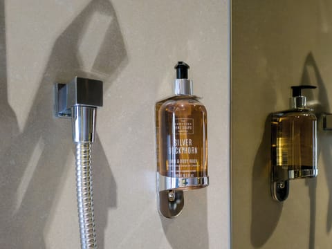 Shower, rainfall showerhead, free toiletries, hair dryer