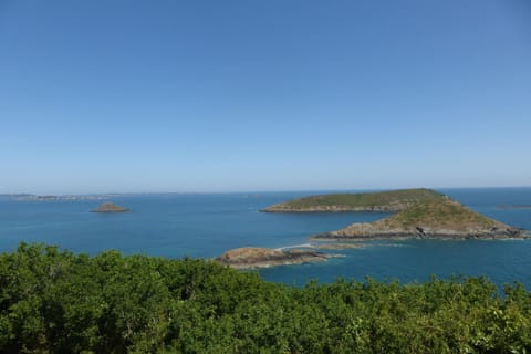 Immediate Surroundings [summer] (&lt;1 km)