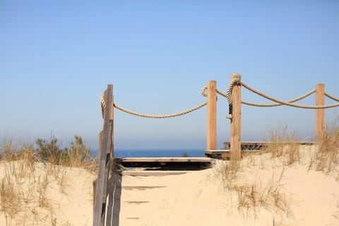 Region [summer] (>5 km)