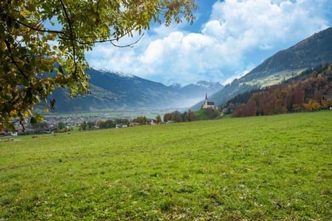 Surroundings [summer] (1-5 km)