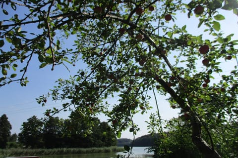 Immediate Surroundings [summer] (<1 km)