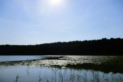 Immediate Surroundings [summer] (<1 km)