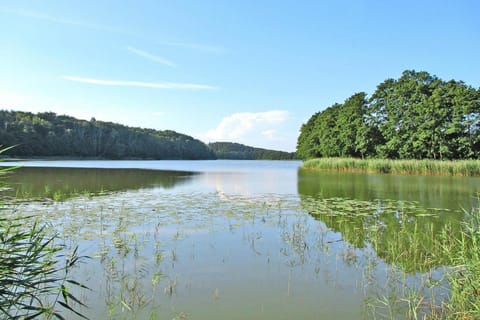 Immediate Surroundings [summer] (<1 km)