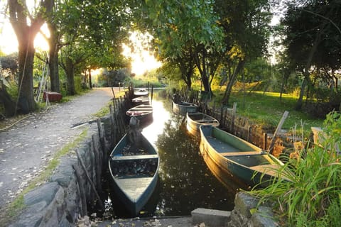 Surroundings [summer] (1-5 km)