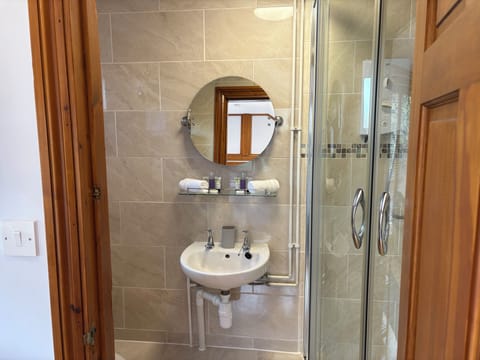 Deluxe Studio | Bathroom | Shower, free toiletries, hair dryer, towels