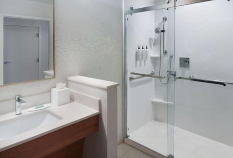 Room, 1 King Bed (Mobility Accessible, Roll-In Shower) | Bathroom | Free toiletries, hair dryer, towels