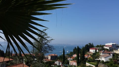 Beach/ocean view