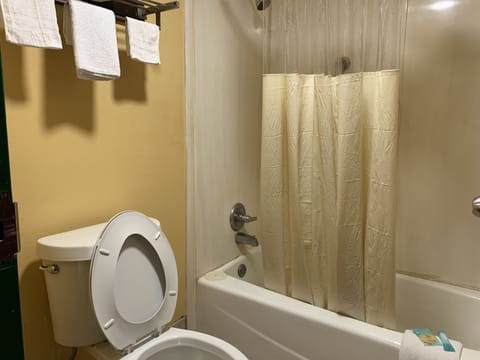 Combined shower/tub, free toiletries, hair dryer, towels