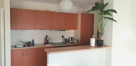Apartment | Private kitchen | Full-size fridge, microwave, oven, stovetop