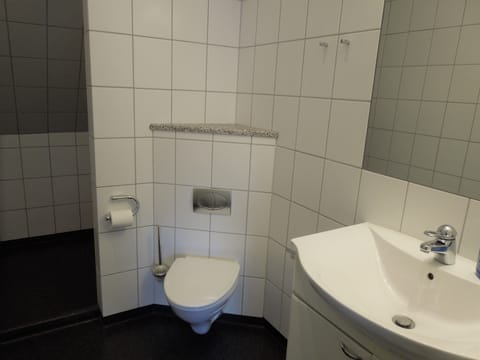 Apartment, 1 Bedroom, Kitchen | Bathroom | Shower, hair dryer, towels, toilet paper