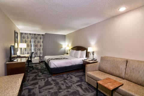 Executive Room, 1 King Bed, Non Smoking | Premium bedding, down comforters, pillowtop beds, in-room safe