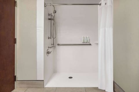 Room, Accessible | Accessible bathroom