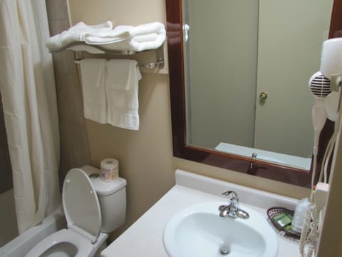 Single Room, 1 Queen Bed | Bathroom | Rainfall showerhead, hair dryer, towels