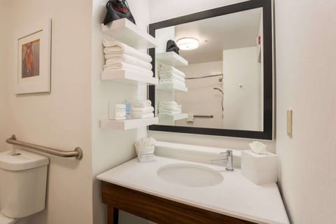 Combined shower/tub, free toiletries, hair dryer, towels