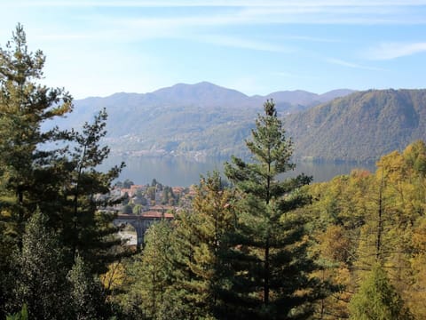 Mountainous Landforms, Larix Lyalliisubalpine Larch, Tree, Mountain, Nature, Wilderness, Tropical And Subtropical Coniferous Forests, Sky, Biome, Spruce-Fir Forest