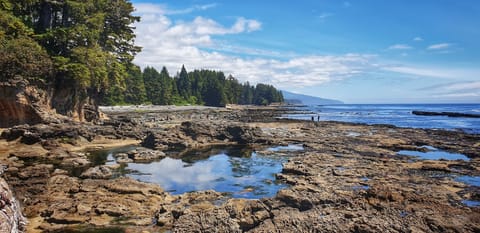 Botanical beach makes for a great day out