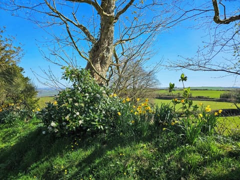 Surrounding area | Stabl - Bwlch Y Person Barns, Dihewyd, near Aberaeron
