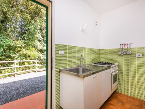 Cabinetry, Building, Plant, Sink, Kitchen Sink, Countertop, Wood, Plumbing Fixture, Kitchen Stove, House