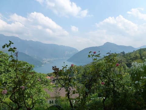 Hill Station, Vegetation, Nature, Mountainous Landforms, Highland, Hill, Mountain, Sky, Natural Landscape, Wilderness