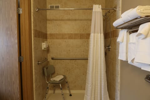 Accessible - Queen Suite, Walk-In Shower | Bathroom | Hydromassage showerhead, designer toiletries, hair dryer, towels